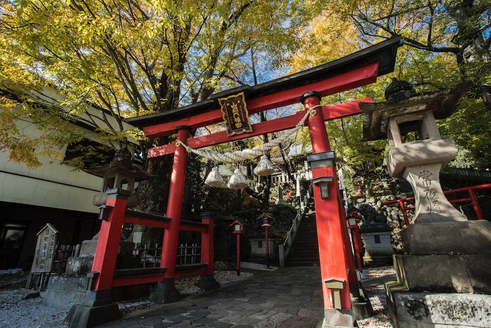 �ܥå���������100(�̿�����Х���Ȣ�դ�) | ���Ҥ�������