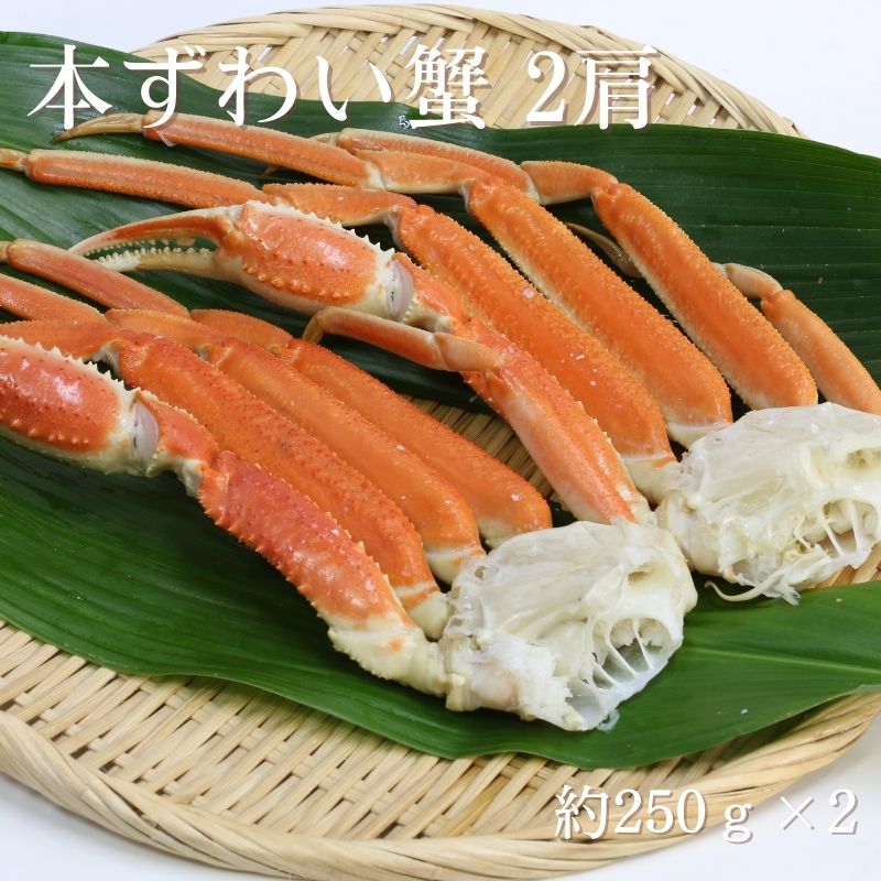 [送料無料]【メーカー直送品】本ずわい蟹 肩脚 2肩　ずわい蟹 肩脚 約250g x 2<br>　賞味期限30日以上