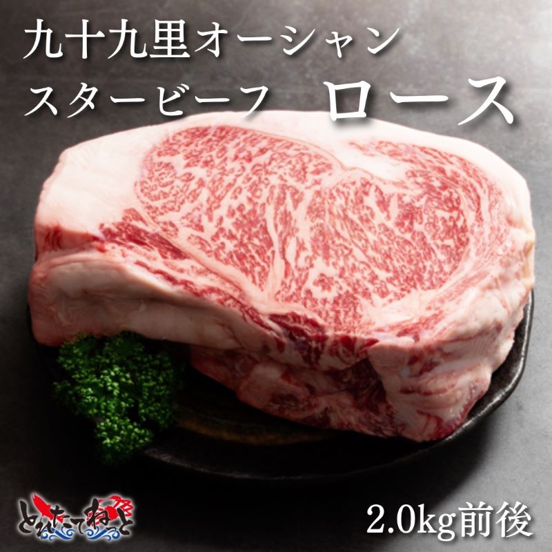 [送料無料]【直送品】九十九里オーシャンスタービーフブロック　2.0kg前後　　賞味期限商品到着後4週間以内(解凍後はお早めにお召し上がりください。)