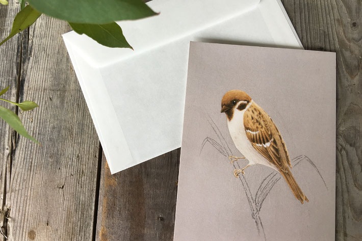 ユカワ アツコ】飛び出す鳥のカード(スズメ) | すべての商品 | とんぱ