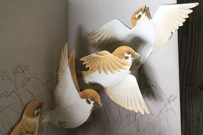 ユカワ アツコ】飛び出す鳥のカード(スズメ) | すべての商品 | とんぱ