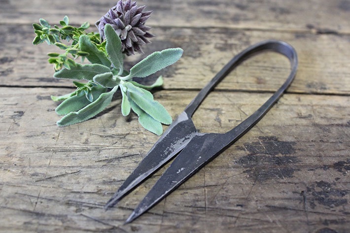 TAjiKA FLOWER SHEARS 　鋏　ハサミ　はさみ　中古 TAjiKA］ HERB SHEARS ハサミ | すべての商品 | とんぱhanare
