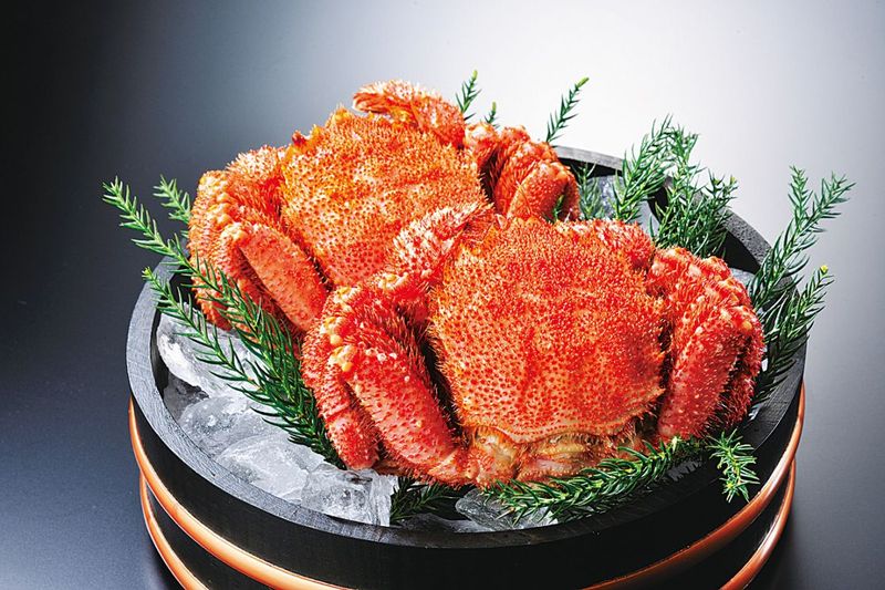 �����ӥ��ˡʻ�����