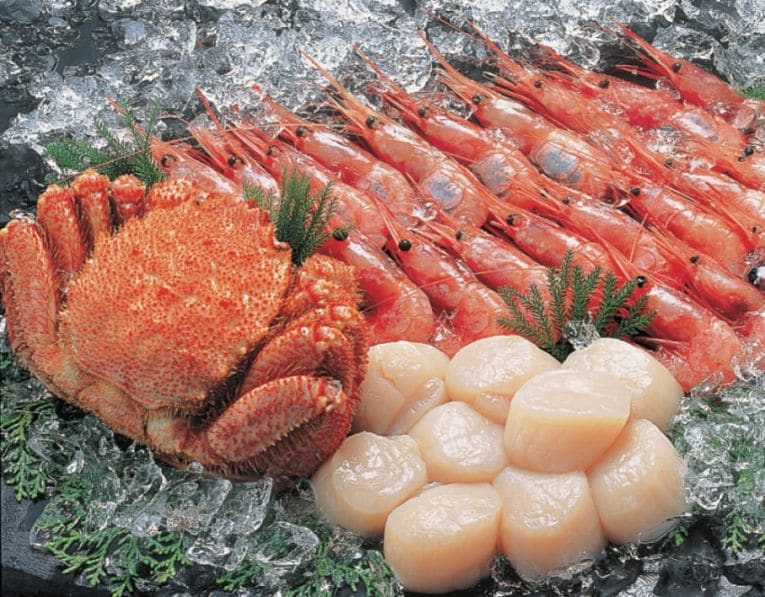 �Ӥ��ˡ���Ω���ť��ӥ��å�