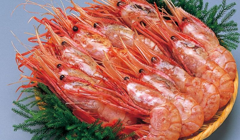 �ɿ��ѥܥ��󥨥�