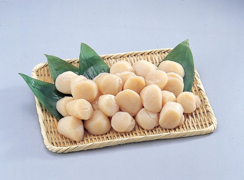 �ɿ��ѥۥ�����