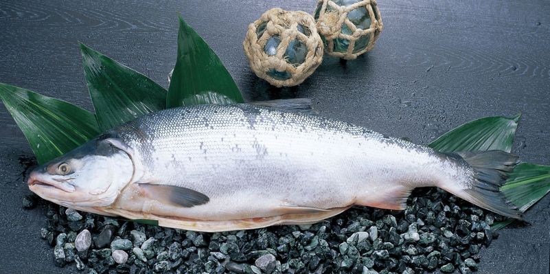 ���λ��Ⱥ�