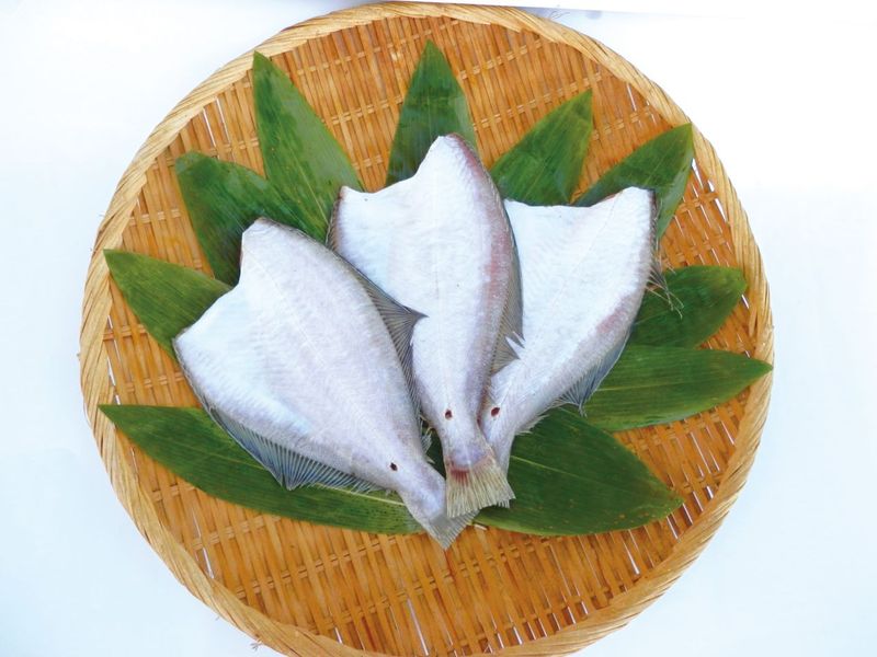 ��î�����ϥ��쥤