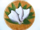 ��î�����ϥ��쥤