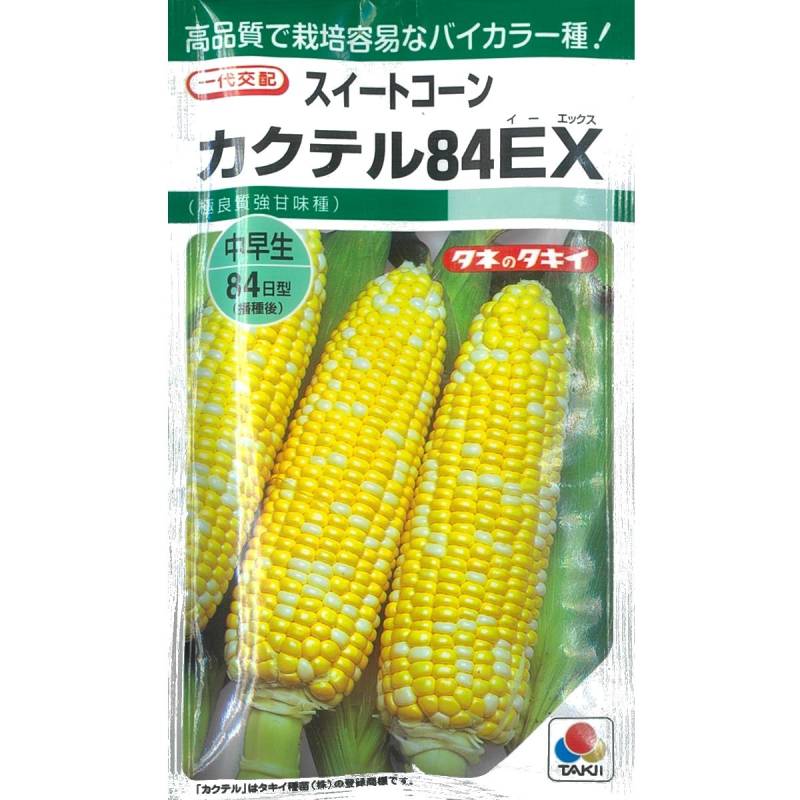 トウモロコシ】バイカラーコーン カクテル84EX〔一代交配0061タキイ
