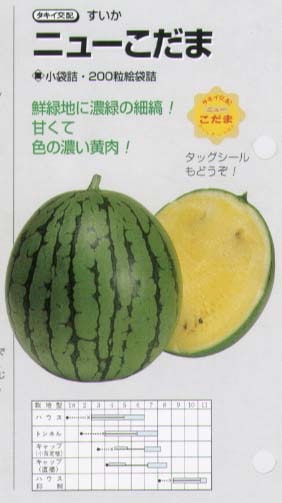 スイカ】ニューこだま〔タキイ交配〕 | スイカ | 野菜・草花の種苗の