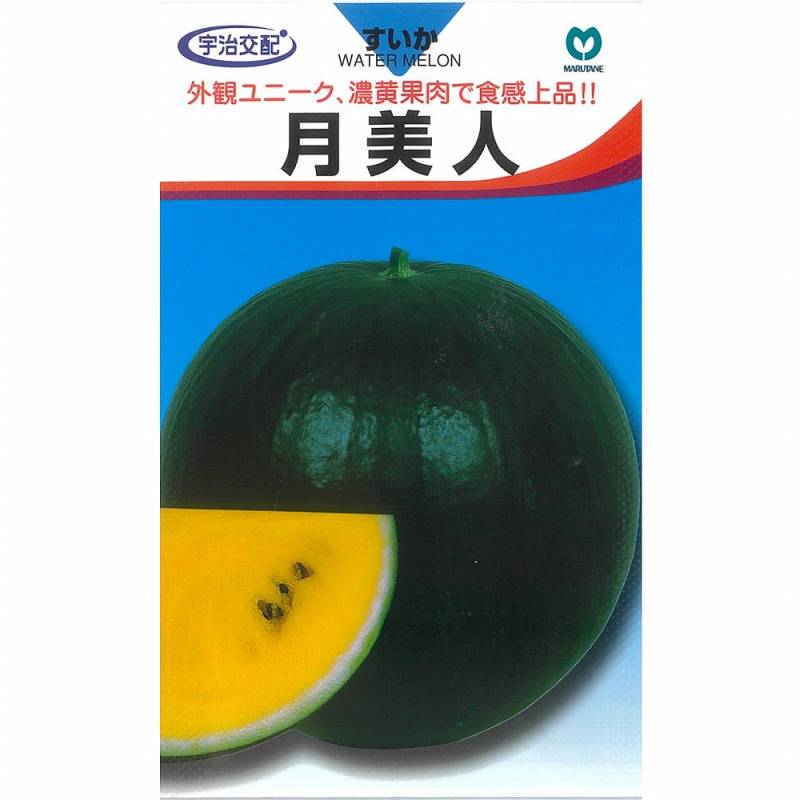 スイカ】月美人〔宇治交配〕 | スイカ | 野菜・草花の種苗の通販は