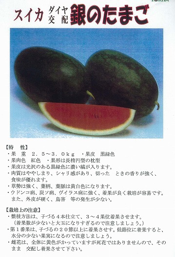 スイカ】銀のたまご〔トキタ交配〕 | スイカ | 野菜・草花の種苗の通販