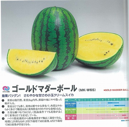 スイカ】ゴールドマダーボール〔ヴィルモランみかど〕 | スイカ | 野菜