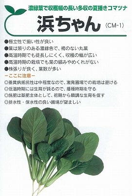 コマツナ】浜ちゃん〔雪印〕 | コマツナ | 野菜・草花の種苗の通販は