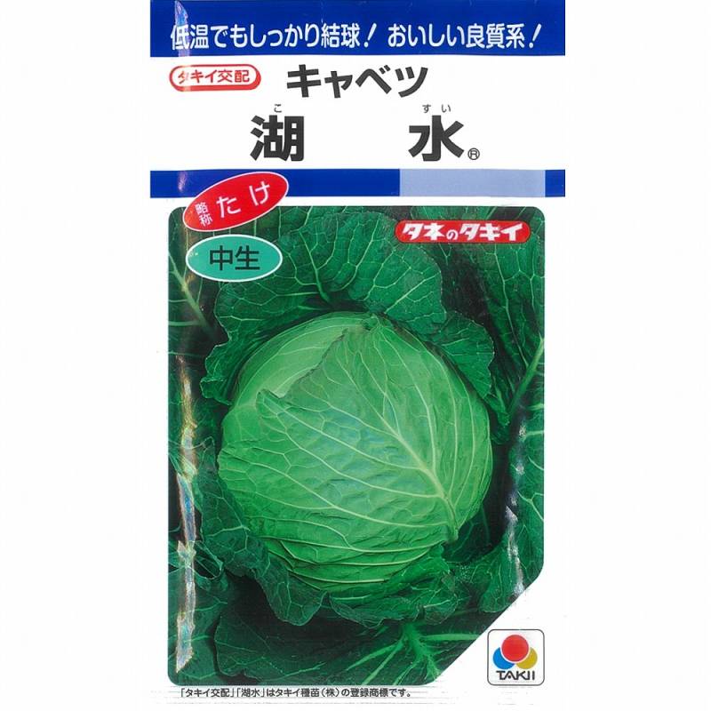 フッドミキサー　キャベツなど キャベツ】湖水〔タキイ交配〕 | キャベツ | 野菜・草花の種苗の通販は