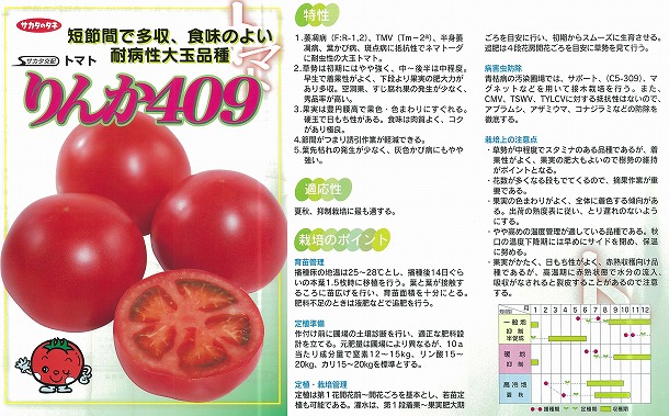 トマト】りんか409〔サカタ交配〕 | トマト | 野菜・草花の種苗の通販