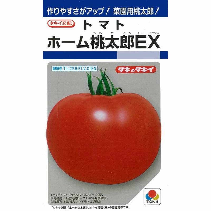 トマト】ホーム桃太郎EX〔タキイ交配〕 | トマト | 野菜・草花の種苗の