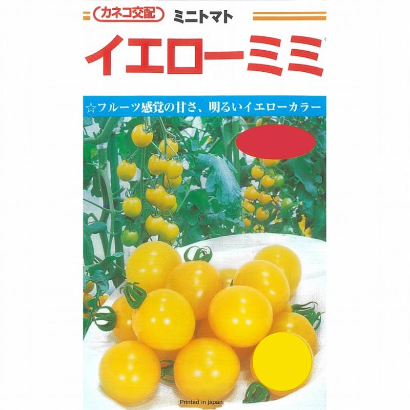 カネコ交配 ミニトマト イエローミミ 種子 ミニトマト】イエローミミ〔カネコ交配〕 | ミニトマト | 野菜・草花の