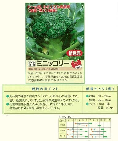 ブロッコリー】ミニッコリー〔トキタ交配〕 | ブロッコリー | 野菜