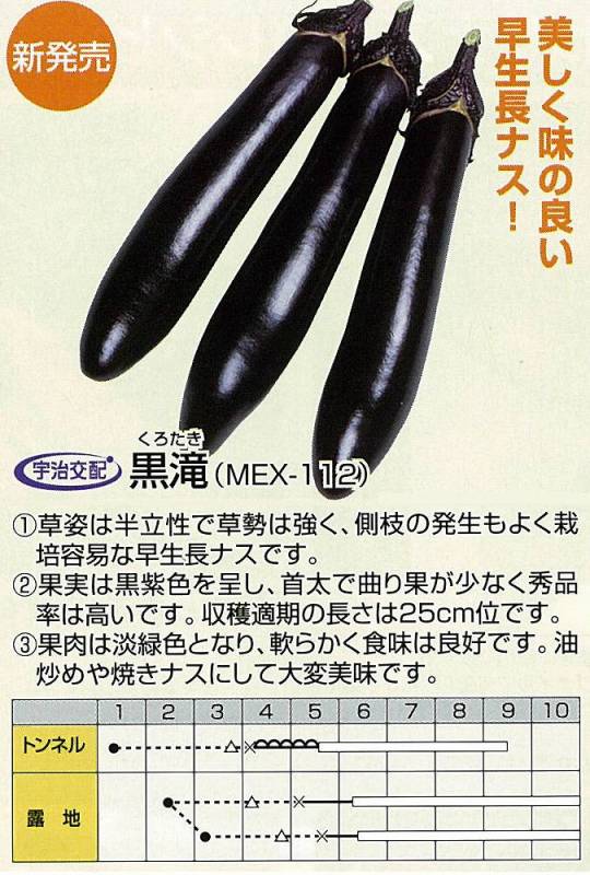 ナス】黒滝（MEX-112）〔宇治交配〕 | ナス | 野菜・草花の種苗の通販