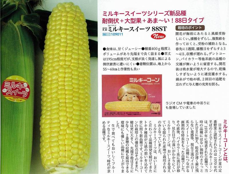 トウモロコシ出品 トウモロコシ】ミルキースイーツ88ST（109011）〔トキタ交配