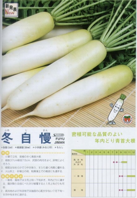 ダイコン】冬自慢〔サカタ交配〕 | ダイコン | 野菜・草花の種苗の通販