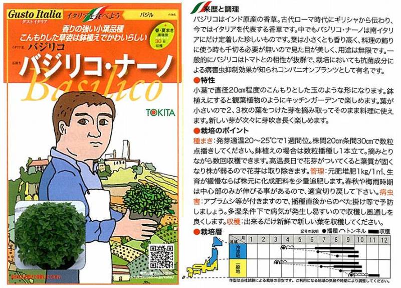 イタリアの野菜】GustoItalia バジリコ バジリコ・ナーノ（トキタ