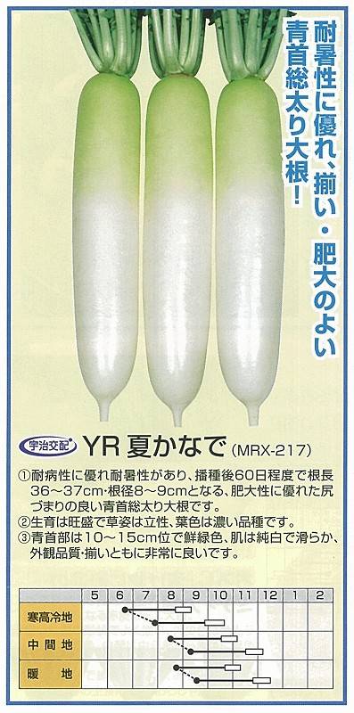 中島 大根 15kg ダイコン】YR夏かなで（MRX-217）〔宇治交配〕 | ダイコン | 野菜