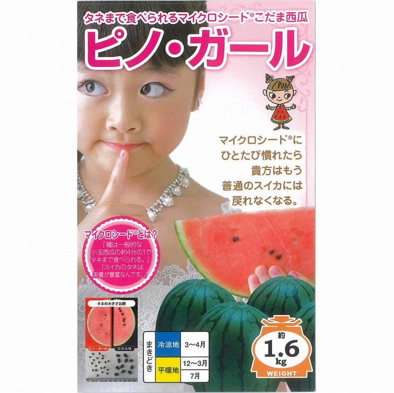 スイカ】小玉 ピノ・ガール〔ナント交配〕 | スイカ | 野菜・草花の