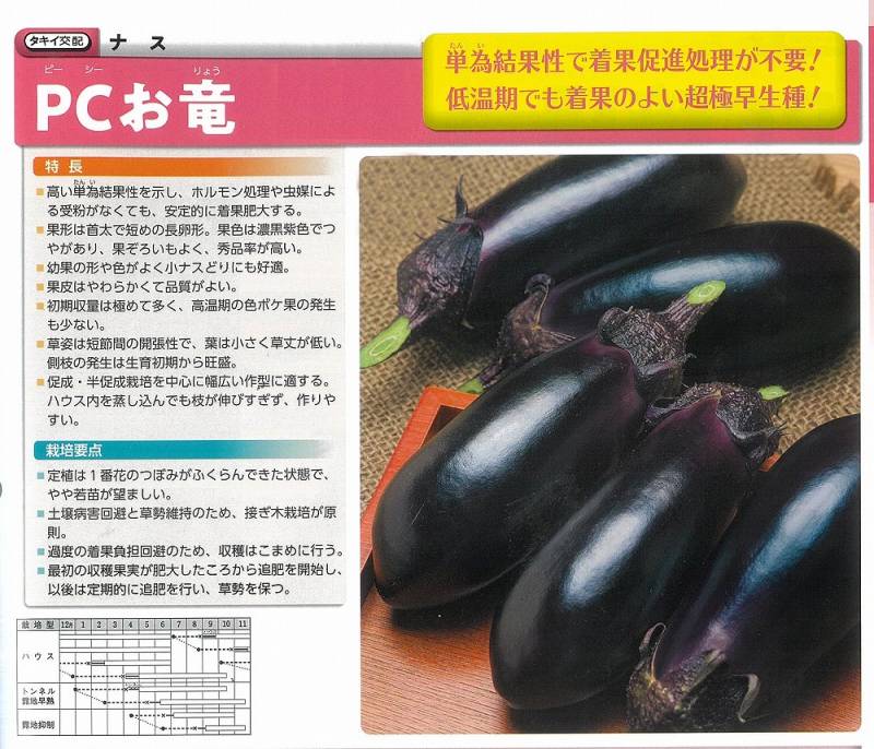 ナス】PCお竜〔タキイ交配〕 | ナス | 野菜・草花の種苗の通販は【太田