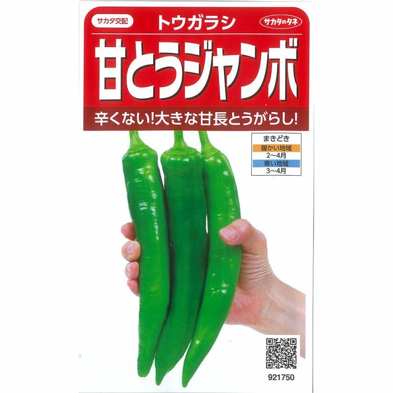 トウガラシ】甘とうジャンボ 満作 〔サカタ交配〕 | トウガラシ | 野菜