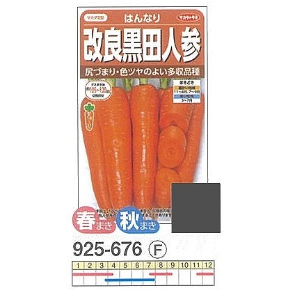 ニンジン】はんなり〔サカタ交配〕 | ニンジン | 野菜・草花の種苗の