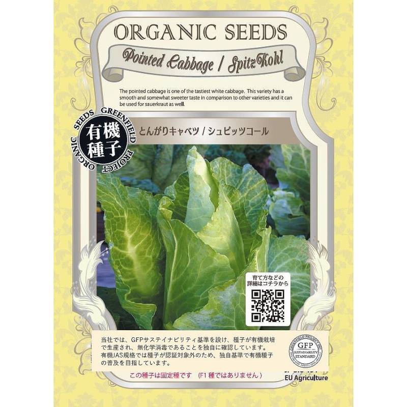 自然栽培　固定種　在来種　野菜詰め合わせ　キャベツ　ジャンボにんにく　自然農 オーガニックの葉菜】キャベツ とんがりキャベツ シュピッツコール