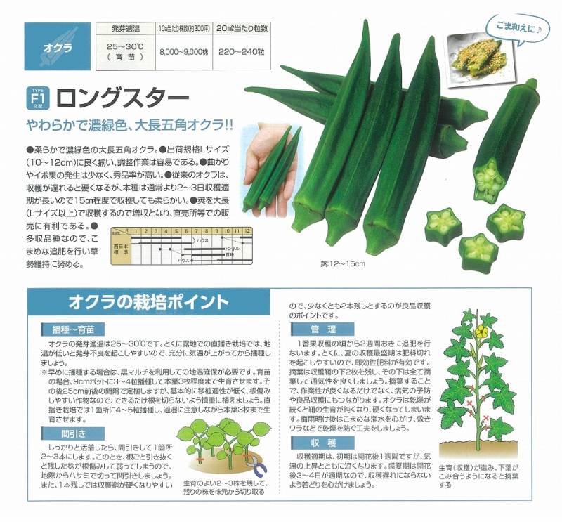 オクラ】ロングスター[F1交配0047中原] | オクラ | 野菜・草花の種苗の