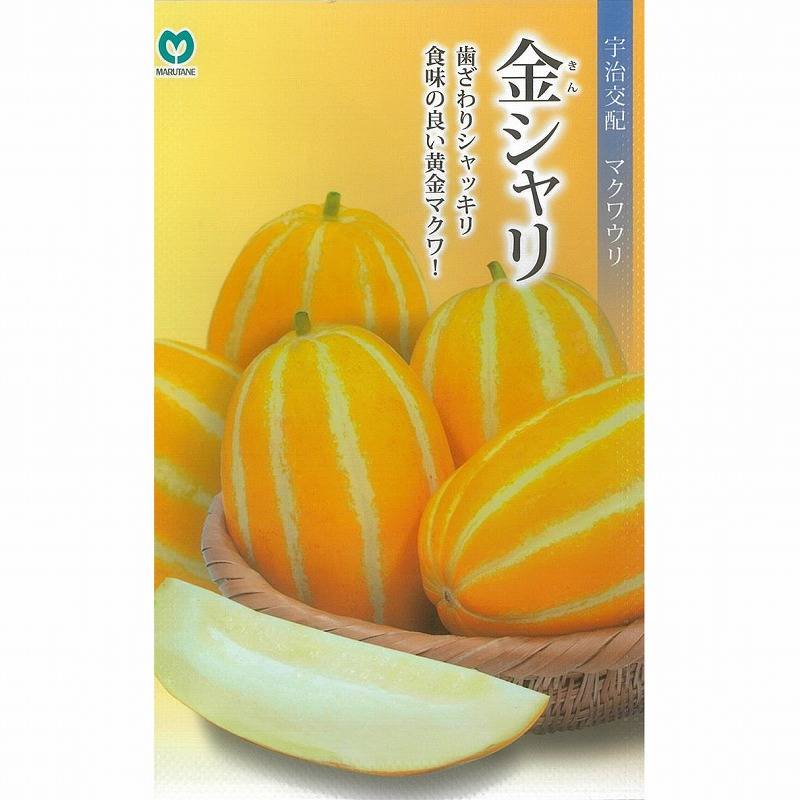マクワ】金シャリ[宇治交配] | マクワ | 野菜・草花の種苗の通販は