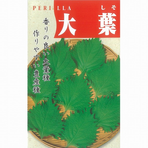 その他の菜類】青しそ（大葉）〔固定種〕 | その他の葉もの | 野菜