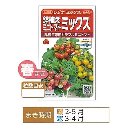 ミニトマト】レジナミックス〔サカタ育成〕 | ミニトマト | 野菜・草花