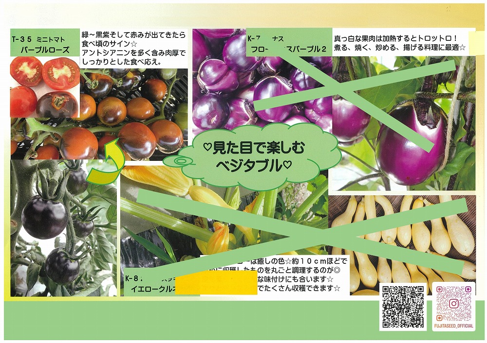 世界の果菜】ミニトマト パープルローズ〔0048〕 | 世界の果菜 | 野菜