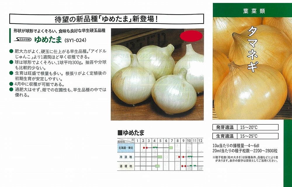 タマネギ】ゆめたま〔サカタ交配〕 | タマネギ | 野菜・草花の種苗の