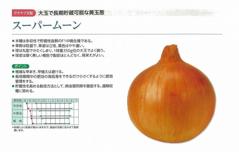 タマネギ】スーパームーン〔タカヤマ交配〕 | タマネギ | 野菜・草花の