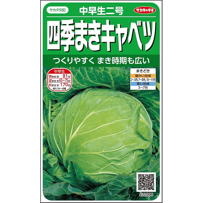 キャベツ　種 キャベツ】中早生 中早生二号〔サカタ交配〕 | キャベツ | 野菜・草花