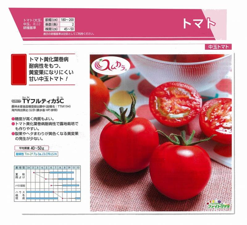 トマト様用 トマト】中玉 TYフルティカSC 農林水産省品種登録出願中(品種名:TTM194