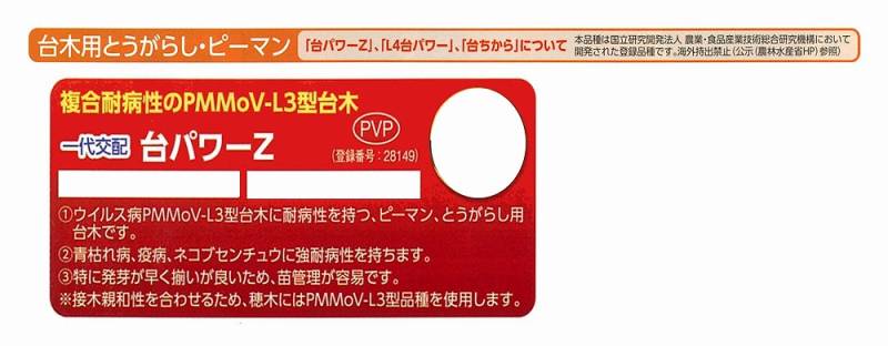 玉木様 フォロー割 専用出品 台木用品種】台パワーZ〔一代交配 0050〕 | 台木用品種 | 野菜・草花の