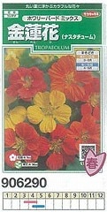 キンレンカ（金蓮花 ナスタチューム） ホワリーバードミックス[906290