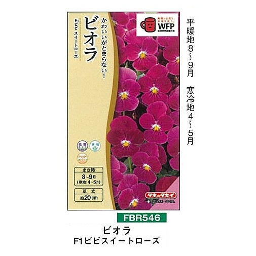 F1 ビオラ ビビ スイートローズ〔FBR546〕 | ハ行で始まる草花 | 野菜