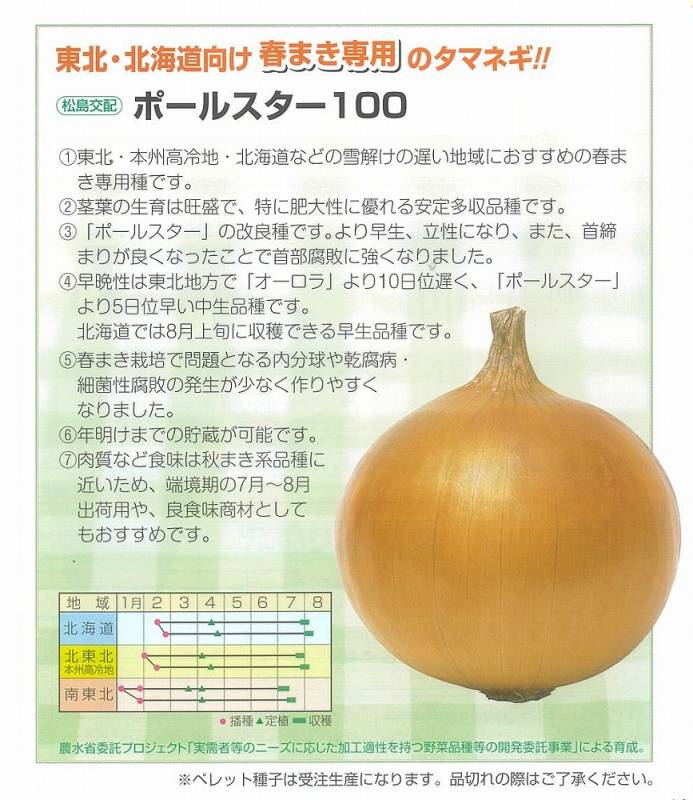 タマネギ】ポールスター100〔松島交配〕※東北以北・本州高冷地向け春
