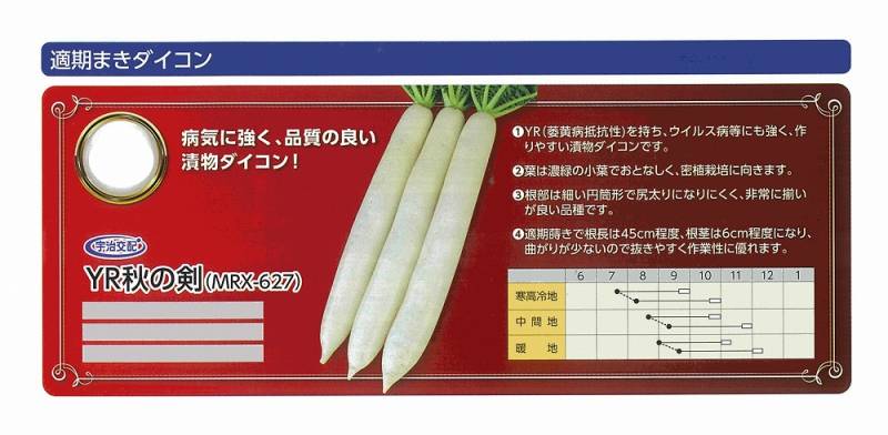 ダイコン】YR秋の剣 (MRX-627)〔宇治交配〕 | ダイコン | 野菜・草花の