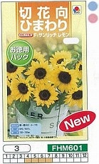 お徳用パック】ヒマワリ 切花向ひまわり F1サンリッチレモン[FHM601]s