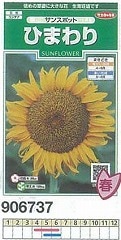 ヒマワリ（ひまわり） サンスポット[906737] | ハ行で始まる草花